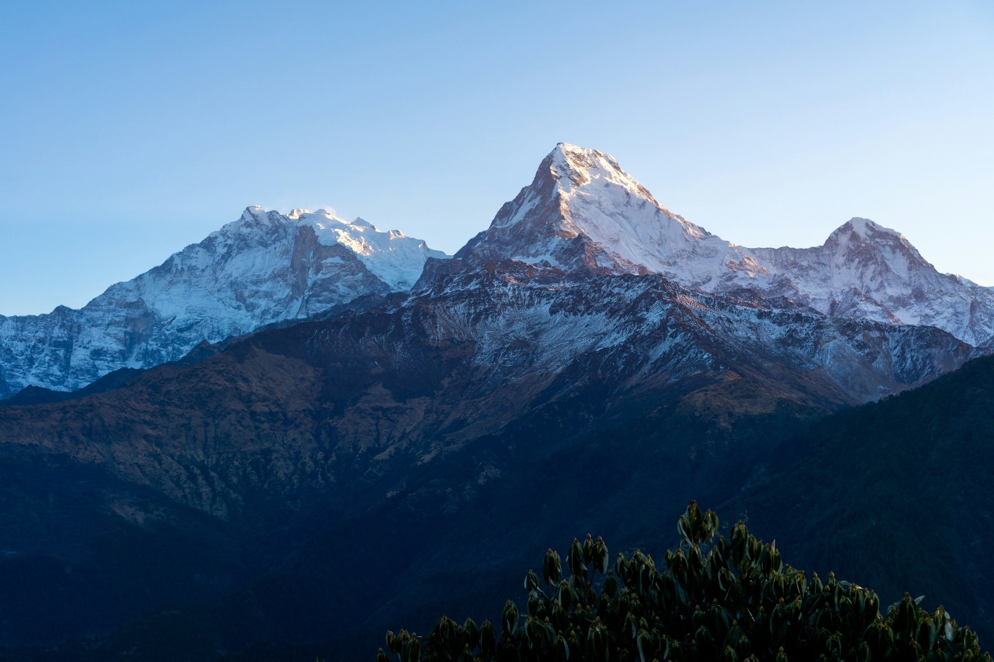 Ghorepani PoonHill Trek- 8 Days